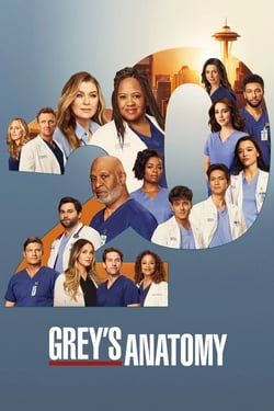 Grey's Anatomy Sezon 20