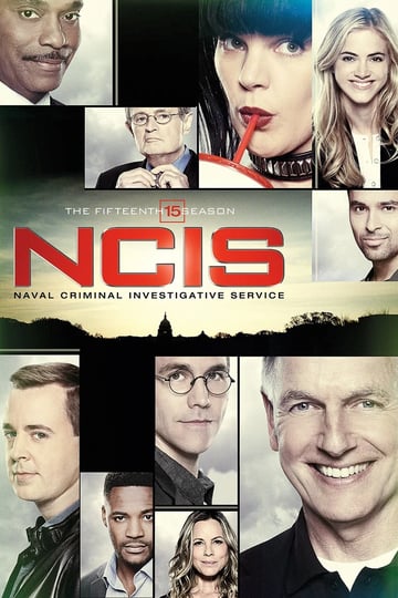 NCIS Sezon 15