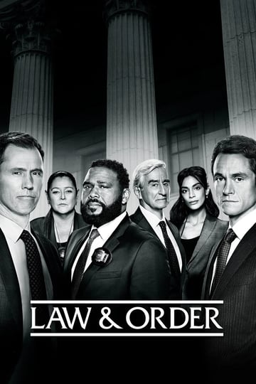 Law & Order Sezon 21