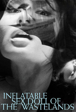 황야의 다치와이프