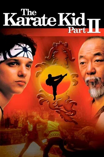 Karatê Kid 2: A Hora da Verdade Continua