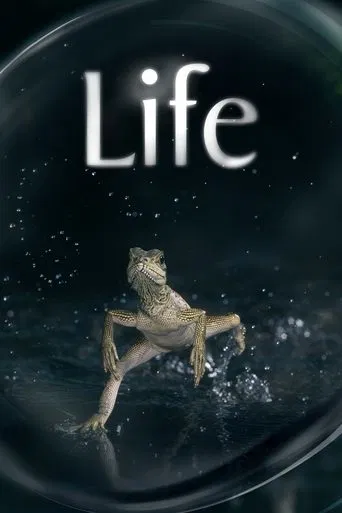 Жизнь
