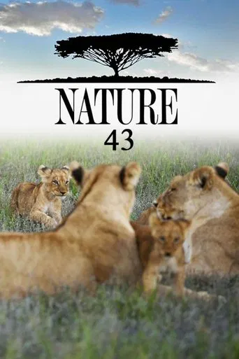 Staffel 43