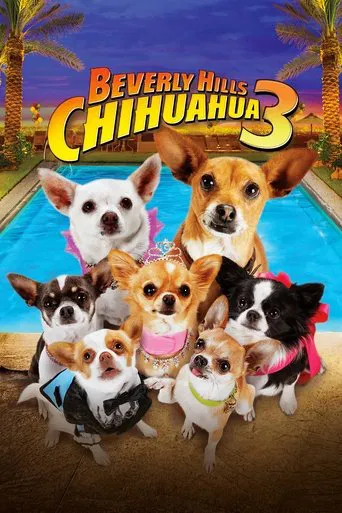 Perdido pra Cachorro 3